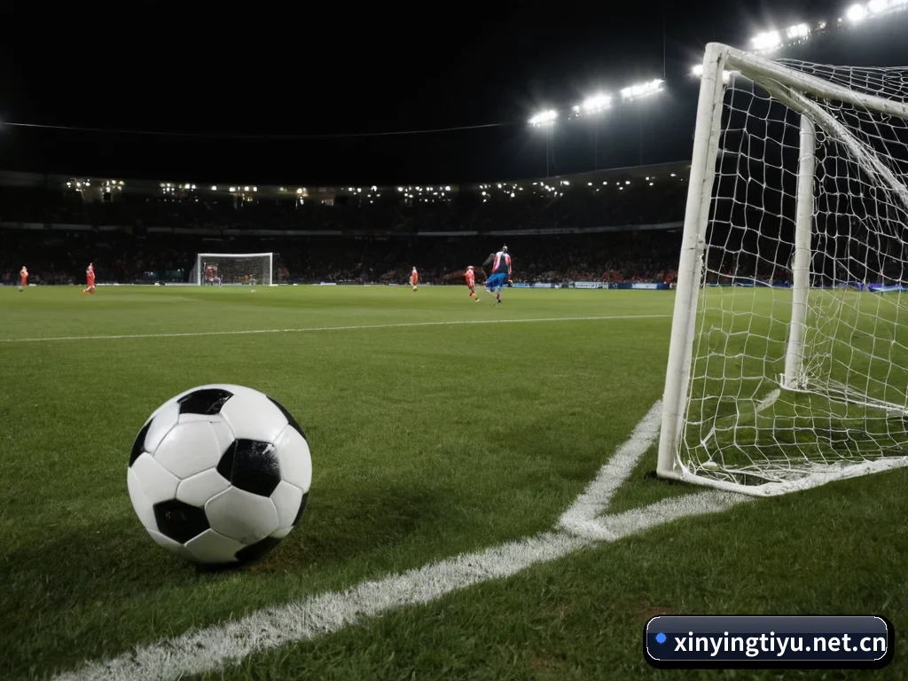 走向世界